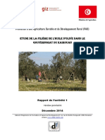 Rapport Provisoire Kairouan Filière HO