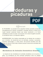 Mordeduras y Picadura