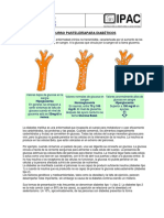 IPAC Postres para Diabeticos Teoria