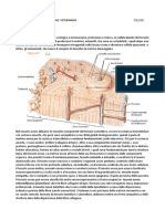 CITOLOGIA E ISTOLOGIA GENERALE VETERINARIA - Lezione 18