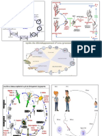 Cycles de DVPMT