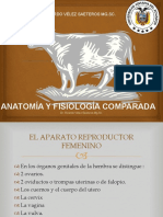 2 .-Anatomia y Fisiologia Comparada Hembra