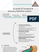 Metabolismo Aerobio 2 - Transporte de Electrones y Fosforilación Oxidativa