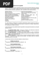 Asignación de Los CIF