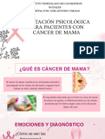 Taller Orientacion Psicologica A Pacientes Con Cancer de Mama1-1