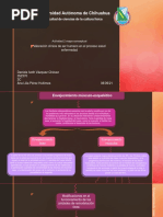 Actividad 2 Mapa Conceptual