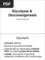 Unit 2 - Carbohydrates Part 2