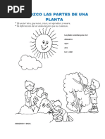 42 Conozco Las Partes de Una Planta