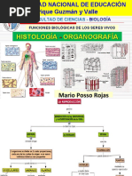 Metabolismo