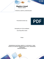 Juan Diego-Formato - Presentación - Tarea 2 Algebra Lineal