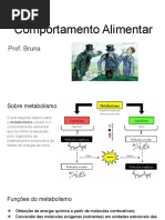 Comportamento Alimentar - Aula1