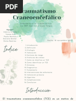 Traumatismo Craneoencefalico