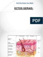 Ec8ead25 F4a9 4b2a 90aa 20f3c20c140f.patologia Da Pele