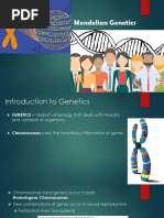 Grade 10 - About Mendelian Genetics