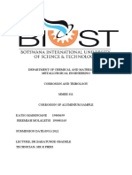 Corrosion Lab Report