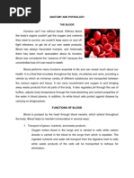 Acute Myelogenous Leukemia - Patho, Anatomy, and Diagnostic Test