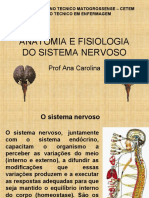 Anatomia e Fisiologia Do Sistema Nervoso