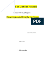 Relatório - Dissecação Coração