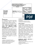 Informe Salmonella