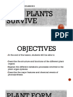 How Plants Survive