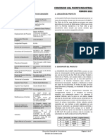 Informe Ejecutivo PuenteIndustrial Febrero