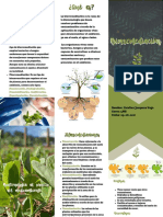 TRIPTICO BIORREMEDIACIÓN, Ciencias para La Ciudadanía