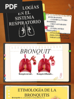 Patologias Del Sistema Respiratorio