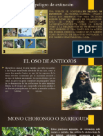 Animales en Peligro de Extincion, y Extintos