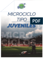 Microciclo Tipo Juvenil