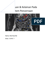 Gangguan Pencernaan Tubuh