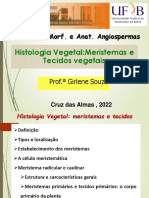 Aula 2 - Histologia - Vegetal Meristemas 2022