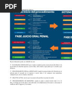 Any Esquema Procedimiento Penal