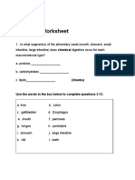 Digestion Worksheet - Grade 10