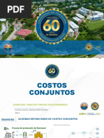 2.1 Costos Conjuntos