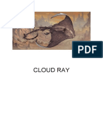 Cloud Ray