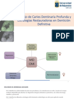 Caries Dentinaria Profunda Estudiantes 2022 (5660)