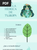 Trabajo Matematicas Huella Hã - Drica