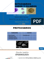 Flagelados y Ciliados Sem 3 Parasitologia