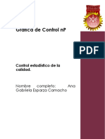 Afica de Control NP