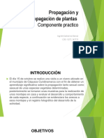 Propagación y Micropropagación de Plantas - Componente Practico