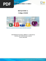 Protocolo de Laboratorio de Bioquimica 2021