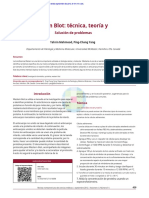 Western Blot - En.es