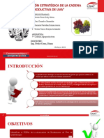 Planificación Estratégica de La Cadena Productiva de Uva - g1