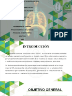 Cuidados de Enfermeria Al Paciente Con Epoc-5