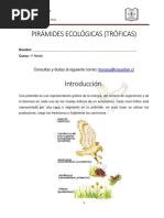 Guia Piramides Ecologicas Nm1a NM1B Biologia