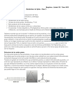 Metabolismo de Lipidos