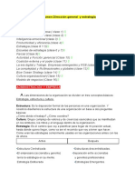 Resumen Direccion General y Estrategia