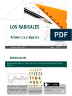 PDF 01 Radicales