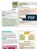 Ccss 3ro. Semana 29