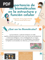 Biomoleculas